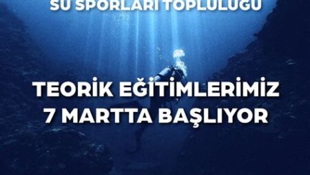 Su Sporları Hayranlarının Topluluğu,  Forumlar, Bloglar ve Sosyal Medya